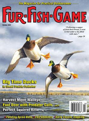 FUR-FISH-GAME October 2022 (Digital M) - Yahoo Shopping