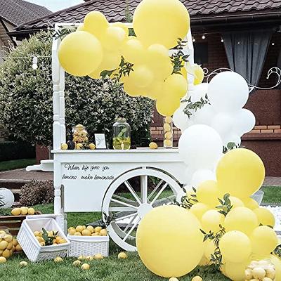 RUBFAC 129pcs Pastel Yellow Balloons Different Sizes 18 12 10 5 Inches Light  Yellow Balloons for Happy Birthday Wedding Anniversary Baby Shower Garland  Arch Party Decoration - Yahoo Shopping