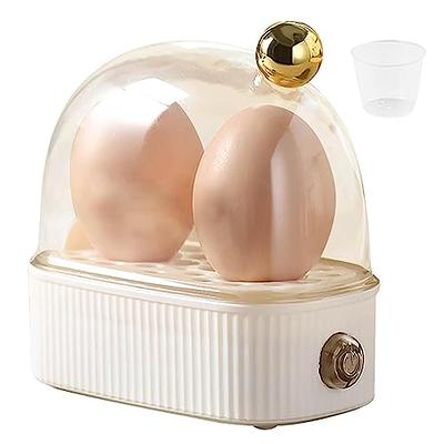 Electric Egg Cooker & Mini Steamer