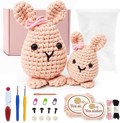 Yes sister Crochet Kit for Beginners, Crochet Kit Animals with Easy  Crocheting Tube Yarn, Beginner Crochet Kit for Adults & Kids, Learn Crochet  with Step-by-Step Video Tutorials, Delia The Bunny - Yahoo