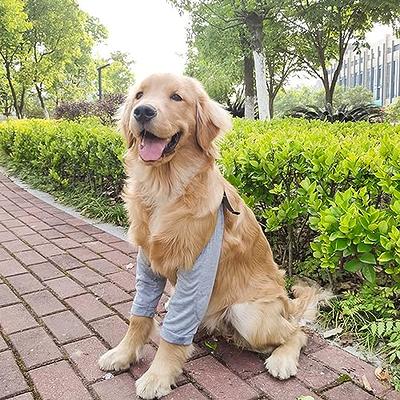 Dog Elbow Protector for Calluses, Dog Recovery Suit for Front Legs, Soft  Recovery Sleeves with Elastic Band,Knee Brace Protector Pads for Medium  Large Dogs,Elbow Joint Support Wrap Stop Licking Wounds - Yahoo