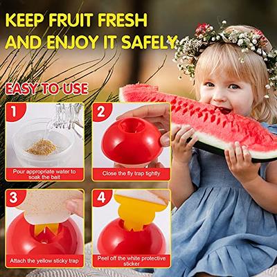 30PCS Fruit Fly Sticky Traps, Fungus Gnat Traps Insect Trap for Plants  Kitchen Indoor and Outdoor 