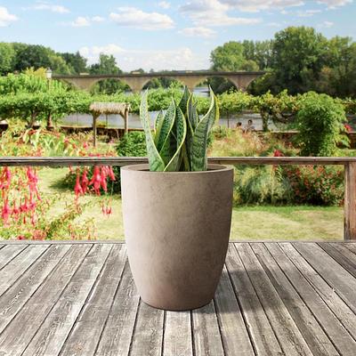 PLANTARA 31 in. and 23 in. L Solid White Concrete Planter, Rectangule Outdoor Plant Pot, Modern Flower Pot for Garden