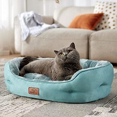 blue kitten bed