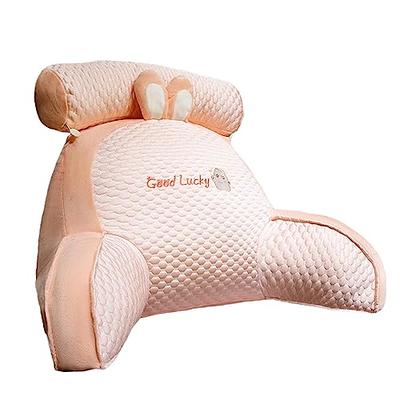 anzhixiu Lumbar Support Pillow for Office Chair Help Sit More Upright -  Lumbar Support Pillow for Scientific Lower Back Support Leaves More Sit  Space