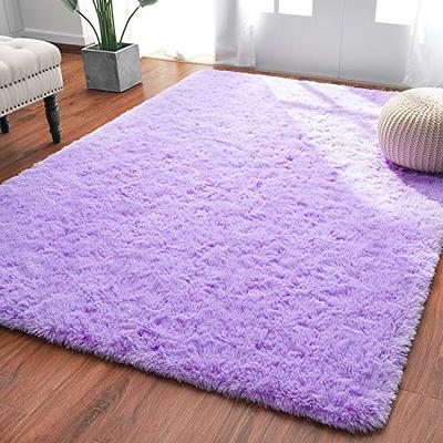 Softlife Rug for Bedroom 4x5.3 Feet Area Rug for Living Room Super Soft  Shaggy Rugs for Kids Room Fluffy Fuzzy Carpets Long Plush Bedside Rug  Nursery