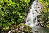 蓊鬱森林的溪谷瀑布好夢幻～新北石門走訪青山瀑布，享受滿滿芬多精及負離子洗禮！