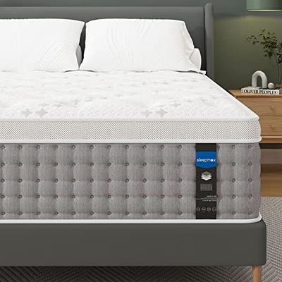 MOLBIUS Queen Mattress | 12 Inch Queen Size Hybrid Mattresses in a Box |  Medium Firm Memory Foam and Individual Pocket Springs | Fiberglass Free Bed