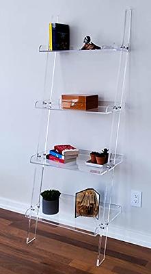 Crate&Barrel Floating Clear Acrylic Bookcase/Shelf