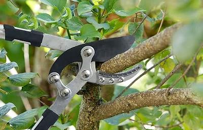 Garden Tools which Prune Tree Limbs Safely