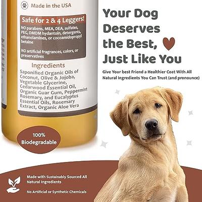 Organic Dog Deodorizing Spray by 4Legger