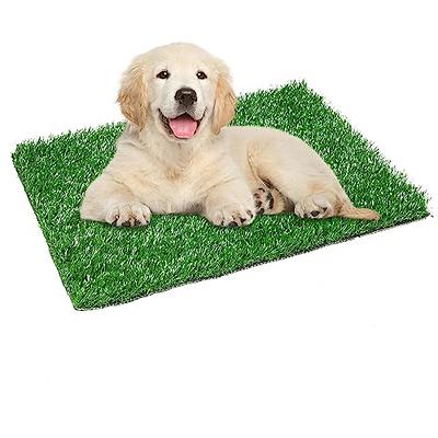 Bethebstyo Artificial Grass, Dog Pee Pads, Professional Dog Potty Training  Rug, Large Dog Grass Mat with Drainage Holes, Pet Turf Indoor Outdoor