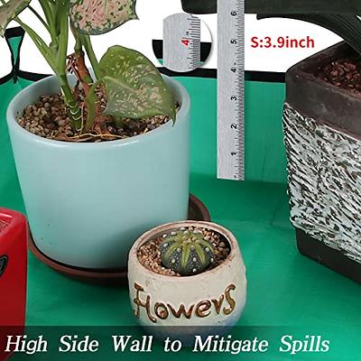 Pinkunn 6 Pieces Bonsai Humidity Tray Resin Humidity Drip Tray Rectangular  Plant Saucers for Bonsai Tree Indoor and Outdoor Plants Cactus Succulents