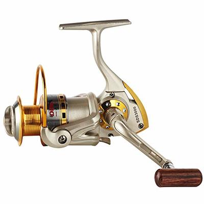 Diwa Spinning Fishing Reels for Saltwater Freshwater 1000 2000 3000 4000  5000 6000 Series Fishing Spool Left/Right Interchangeable Trout Carp  Spinning Reel 10 Ball Bearings Light and Smooth (3000) - Yahoo Shopping