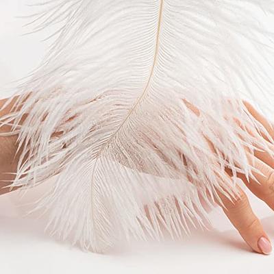 Holmgren White Ostrich Feathers Bulk - 20pcs Making Kit 22 Inch Large  Ostrich Feathers for Vase, Floral Arrangement, Wedding Party Centerpieces  and