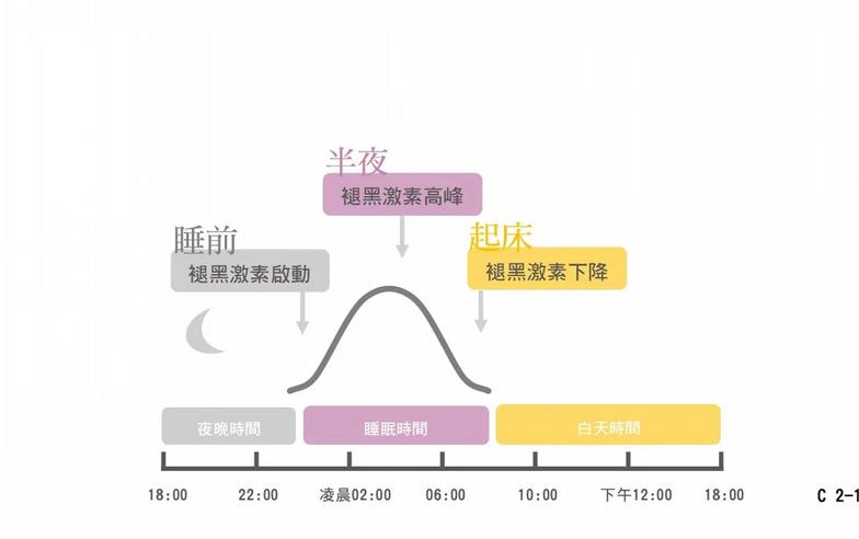 大失眠！生理時鐘「誤點」怎辦？睡眠專家教「校正6招」先確認睡眠量