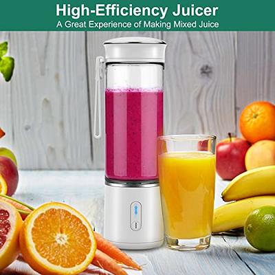 Portable Blender, USB Rechargeable Mini Juicer Blender, Personal Size  Blender for Juices, Shakes and Smoothies, Best gift for relatives and  friends