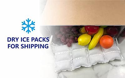 Shipping Ice Packs for Frozen Food Keep Food Fresh and Beverage