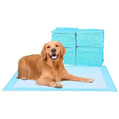 Pet Training Mat