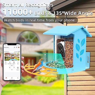 WIFI Smart Bird Feeder Camera 1080P Auto Capture Bird Video and Motion  Detection Real-time Notification AI Identify Bird Species IP65 Waterproof  128G TF Cards 