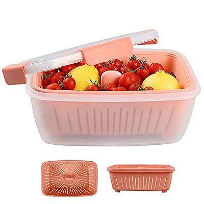 shopwithgreen 68oz Berry Keeper Container, Fruit Produce Saver