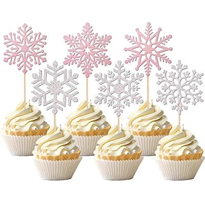36 PCS Snowflake Cupcake Toppers Glitter Winter Frozen Theme Cupcake Picks  Little Snowflake Cake Decorations for Winter Wonderland Baby Shower Kids  Birthday Christmas Party Supplies Silver Pink - Yahoo Shopping