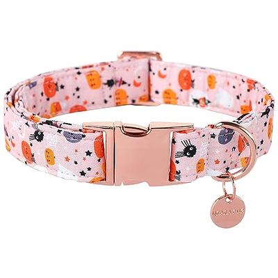 Dog Collar - Cute Dog Collar for Small/Medium/Large Dogs, Boy and