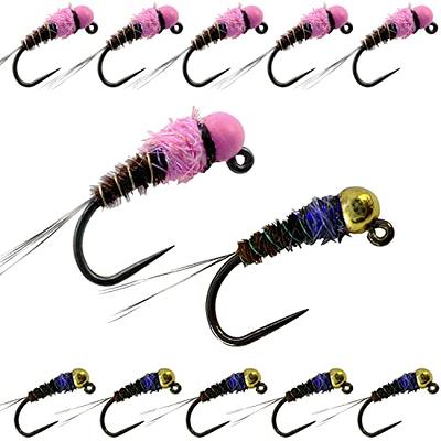  The Fly Crate Barbless Euro Czech Nymphing Trout Fly Fishing  Flies One Dozen Tungsten Beaded Fly Assortment