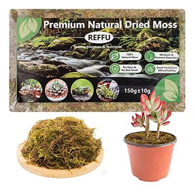 Legigo 3.3LBS Premium Sphagnum Moss for Plants- 60QT Natural Succulent  Carnivorous Plant Moss Dried, Long Fiber Orchid Moss for Orchid Repotting  Succulent Sarracenia Potted Plants Gardening & Reptiles - Yahoo Shopping