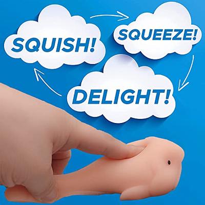  Blobfish Toy, Pull, Stretch and Squeeze Stress, Cute Fish Toy  for Anxiety Relief, Funny Cute Sensory Toys for Autism, Birthday,  Christmas, Office, Stocking Stuffer Gift : Toys & Games