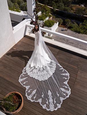 Ornate Lace Adorned Tulle Cathedral Length Single Tier Wedding Veil