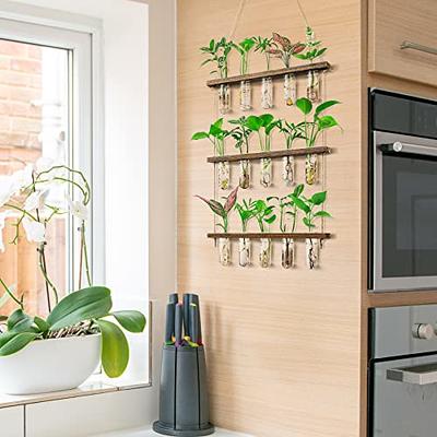 Magnetic Propagation Planter Propagation Station Test Tube Wall Planter  Wood Propagation Station Plant Gift Wall Plant Holder 