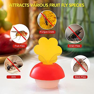 FVOAI Fly Trap Indoor, Fruit Fly Catcher Mosquito Killer Insect