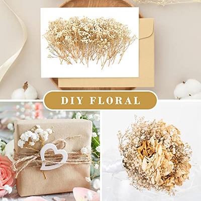 70Pcs Mini Dried Baby's Breath Flowers 4000+Natural Ivory White Bulk Flowers  Real Flowers Pressing Floral Dried Flowers Pressed Gypsophila Bouquet for  Hair Accessory Wedding Card Making - Yahoo Shopping