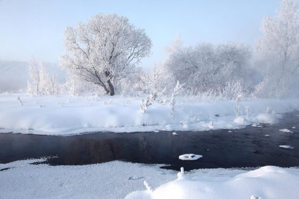 «بحيرة سفيتلو» مأوى البجع الجميلة في سيبيريا Svetloe-Lake-Serbia24