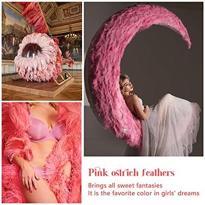  Giegxin Ostrich Halloween Decor Feathers Bulk 24 Pcs