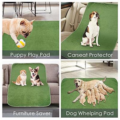  Dog Pee Pad Washable-72*80 Extra Large Instant Absorb Training  Pads Non-Slip Pet Playpen Mat Waterproof Reusable Floor Mat for  Puppy/Senior Dog Whelping Incontinence Housebreaking : Pet Supplies