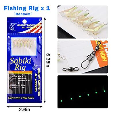 Surf Fishing Tackle Kit Saltwater Fishing Gear and Equipment