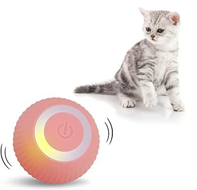 LUPAPA Cat Toy Ball Intelligent Funny Cat Ball 360 Degree Rotatable with LED  Light Cat Interactive Toy USB Rechargeable Toy Ball Resistant to Bite  (Pink) - Yahoo Shopping