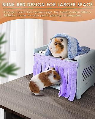 Guinea pig clearance bunk beds