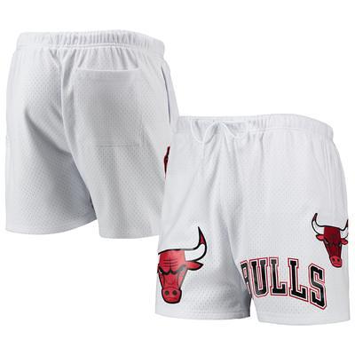 Pro Standard Chicago Bulls Logo Pro Team Mesh Shorts Red