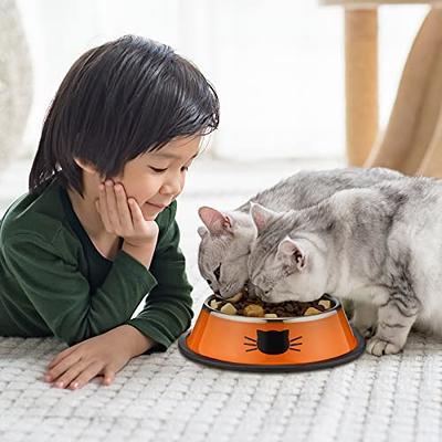 Ptlom Elevated Stainless Steel Pet Food Bowl with Stands, Raised Dog Cat  Feeding Bowls Set Suitable for Cats and Small Dogs, Green