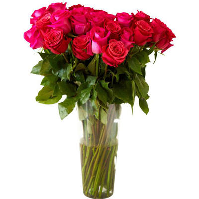 Bulk Flowers Fresh Bicolor White and Pink Roses - Yahoo Shopping