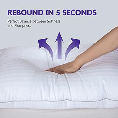 Queen Size 4 Pack Pillow Inserts, Pillows for Sleeping 4 Pack, Hotel  Pillows for Side Back & Stomach Sleepers, Down Alternative Microfiber Soft  Plush