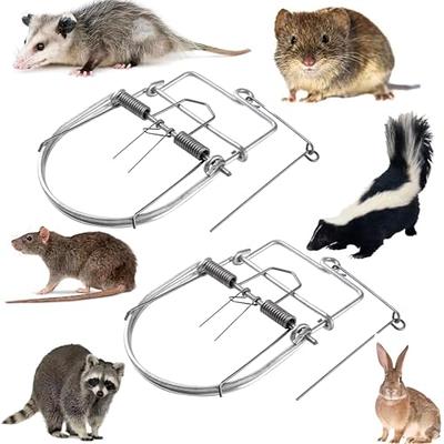 CREPLOSL 3 Pack Sticky Mouse Trap Rat Sticky Traps Extra Large Mouse Traps  Indoor for Home Work for Trapping Snakes Rats Spiders Roaches & Other