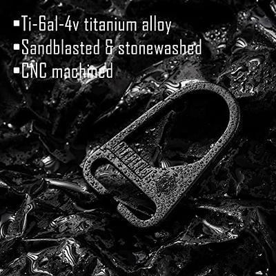  TIESOME 10 Pcs Metal D Rings Spring Key Ring, 1 Inch Spring  Keyring Buckle Carabiner Snap Hook Clip Metal Buckle for Keychain Purse  Strap Extender Clip Bag Handbag Crafts (Black) 
