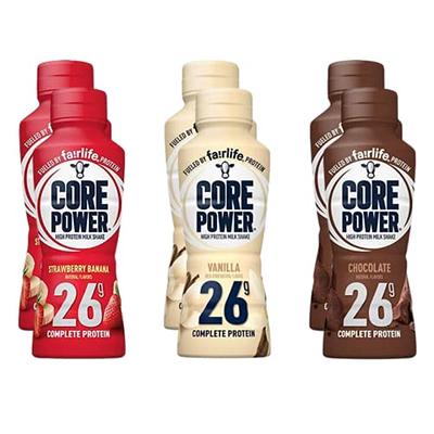 Protein Power Chocolate Protein Milk 14 fl oz