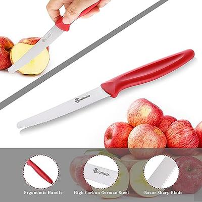 Kitchen Delight 8 Stainless Steel Serrated Bread Knife with Wood Handle  SHARP