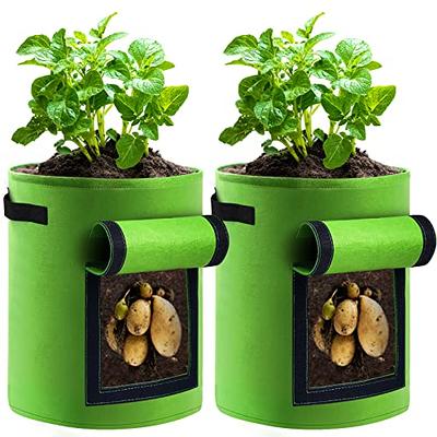 Grow Your Own Fruits And Veggies With Nonwoven Aeration - Temu