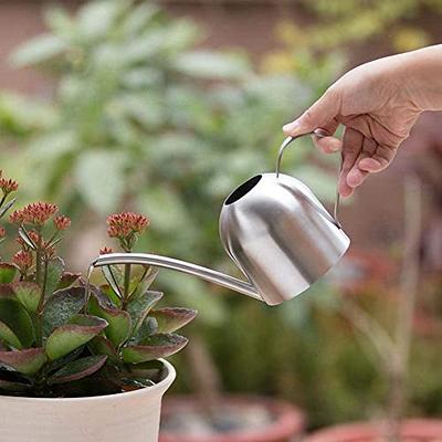 300ML Watering Can Solid Stainless Steel Pot Long Spout Small Indoors NEW  MINI